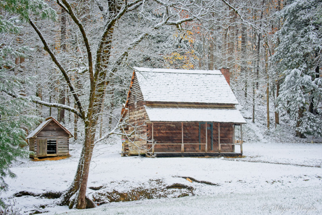 "Henry Whitehead Cabin in the snow"